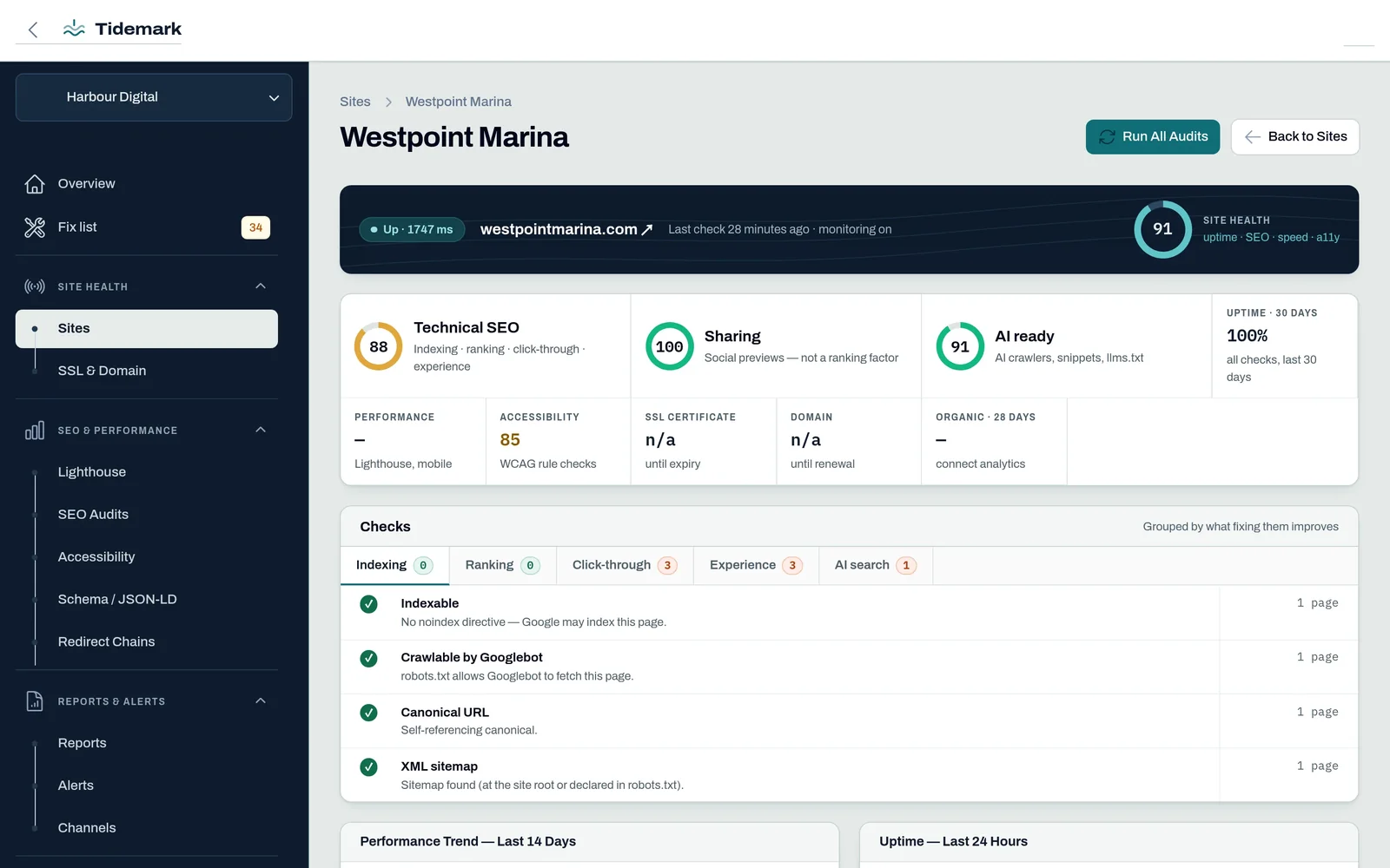 Site health page: status band with overall score, separate Technical SEO, Sharing and AI-ready score rings, and checks grouped by impact area